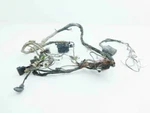 Arctic Thundercat 1000 Wiring Harness 2008 Atv H2 Melted. Fixed Price $33.21.