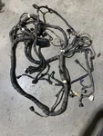 Main Harness- Wc 2017 Arctic Wildcat Sport 53758. Fixed Price $350.00.