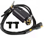 Ignition Coil For Ski-doo Renegade / Summit Mxz Gtx Gsx 800 1987-2020. Fixed Price $29.99.