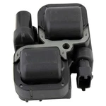 RM06021 Ignition Coil. Fixed Price $79.11.