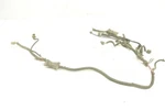 Polaris Trail Boss 325 01 Wiring Harness Chassis 2460858 48623. Fixed Price $93.99.