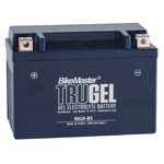Bikemaster Trugel Battery Yamaha XJ600S Seca Ii (1992 - 1998). Fixed Price $56.92.