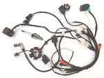 Atv Quad Coolster 3050C Wiring Harness Cdi Stator Coil Assembly WH04+. Fixed Price $89.99.