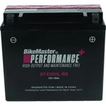 Bikemaster Performance+ Maintenance-free Batteries Pwc BTX20HL-BS. Fixed Price $100.86.