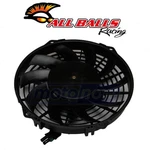 Balls Cooling Fan For 2000-2002 Polaris Xpedition 425 Engine Radiators Tk. Fixed Price $171.95.