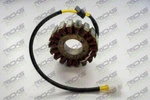 Ricks Stator For Mv Agusta Brutale 800 2013-2014 21-034. Fixed Price $192.95.