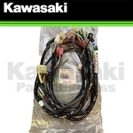 New 2001-2003 Genuine Kawasaki Bayou 250 Main Harness KLF220 26030-1760. Fixed Price $80.45.
