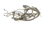Can-am Quest 650 Wiring Harness Main Chassis 710000445 46854. Fixed Price $104.99.