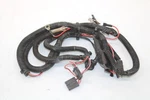 1989 Polaris Trail Boss 250 Oem Main Wiring Harness 2460277 AP95. Fixed Price $25.99.