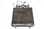 95 Polaris Xplorer 400 4X4 Radiator. Fixed Price $49.98.