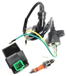 Atv 125 110 90 70 50CC Ignition Cdi Coil Spark Plug AT7C Taotao Sunl Jcl Roketa. Fixed Price $34.95.